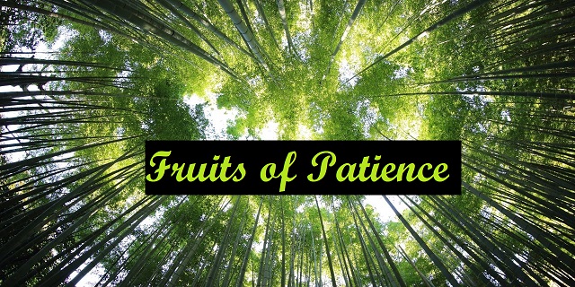 Fruits of Patience